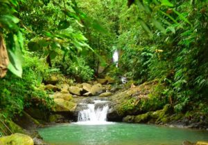 waterfalls tour quepos